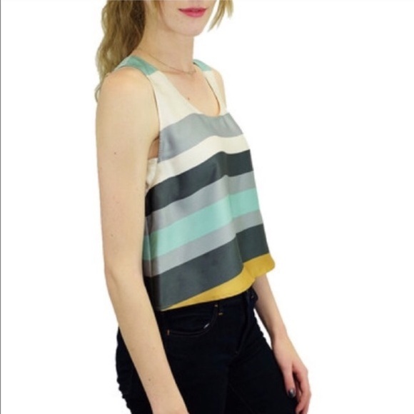 RELISHED Striped Satin Crop Top LAST ONE - Picture 3 of 4